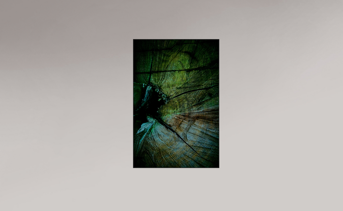 Palaeoptera (g)