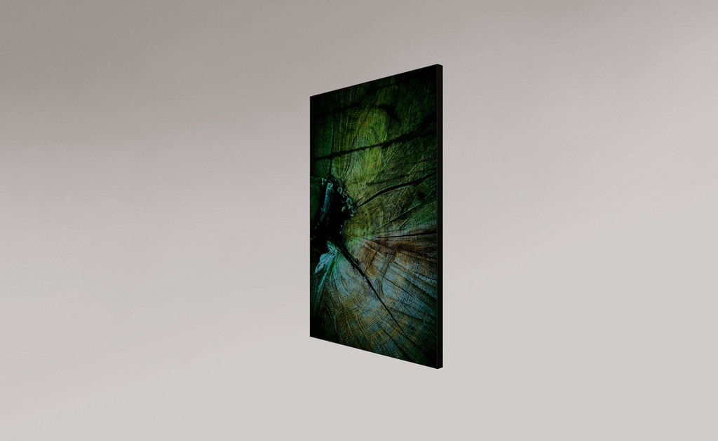 Palaeoptera (g)