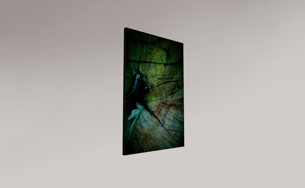 Palaeoptera (g)