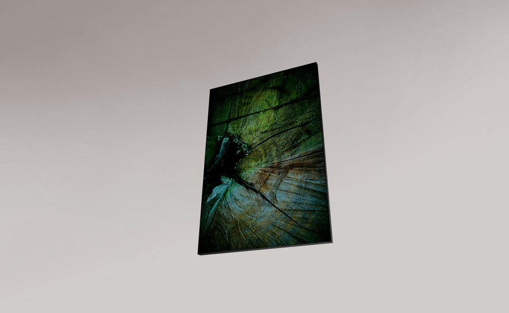 Palaeoptera (g)