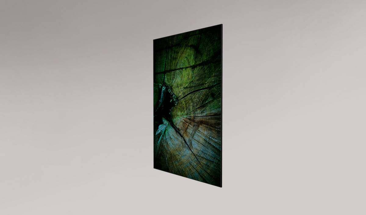 Palaeoptera (g)