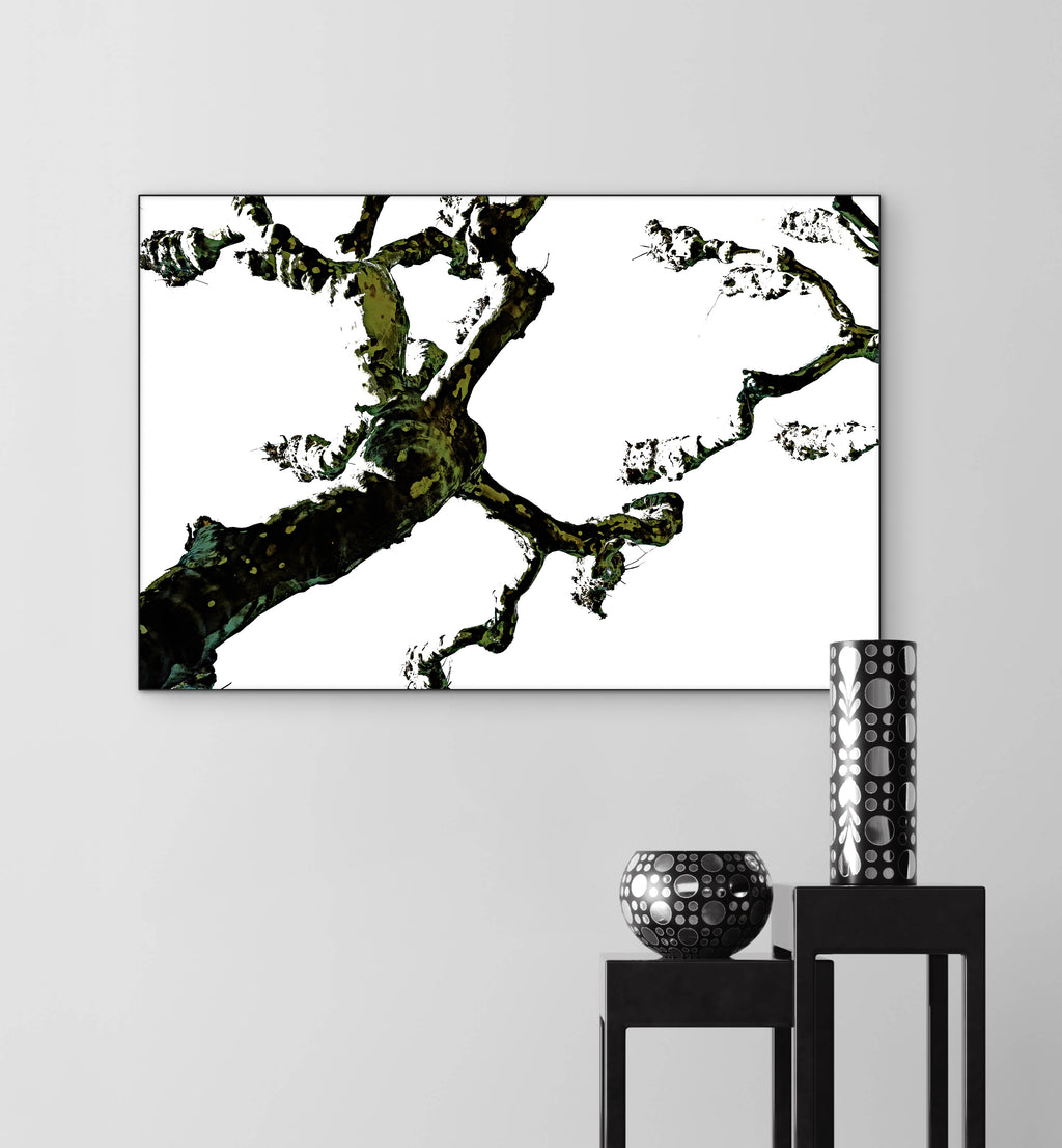 lignoo